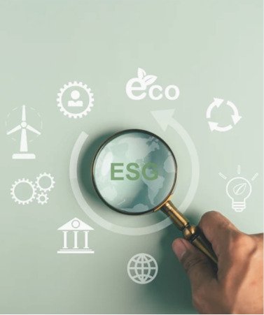 Plant Improvement & ESG